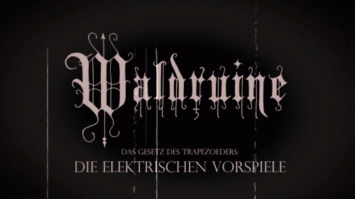 Waldruine : Die Elektrischen Vorspiele
